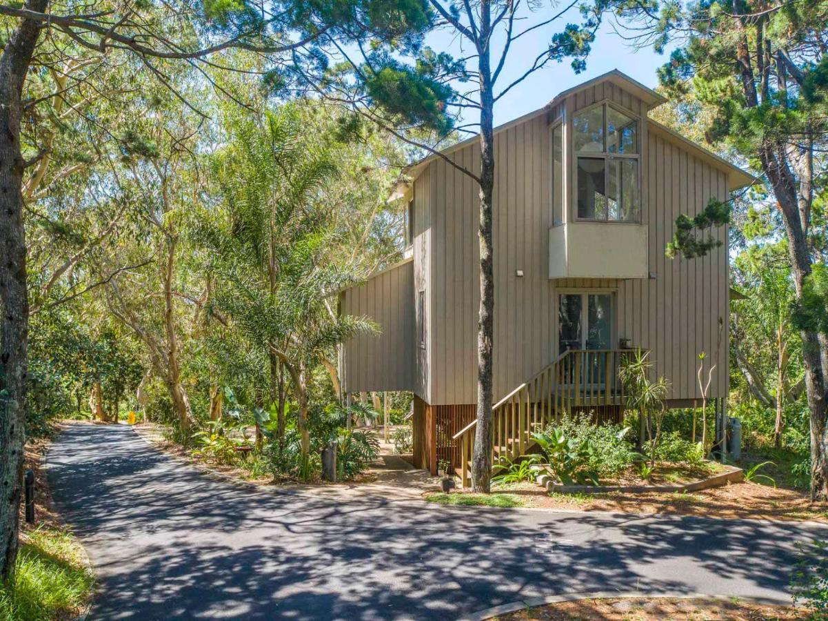 The Oasis Apartments And Treetop Houses Byron Bay Kültér fotó