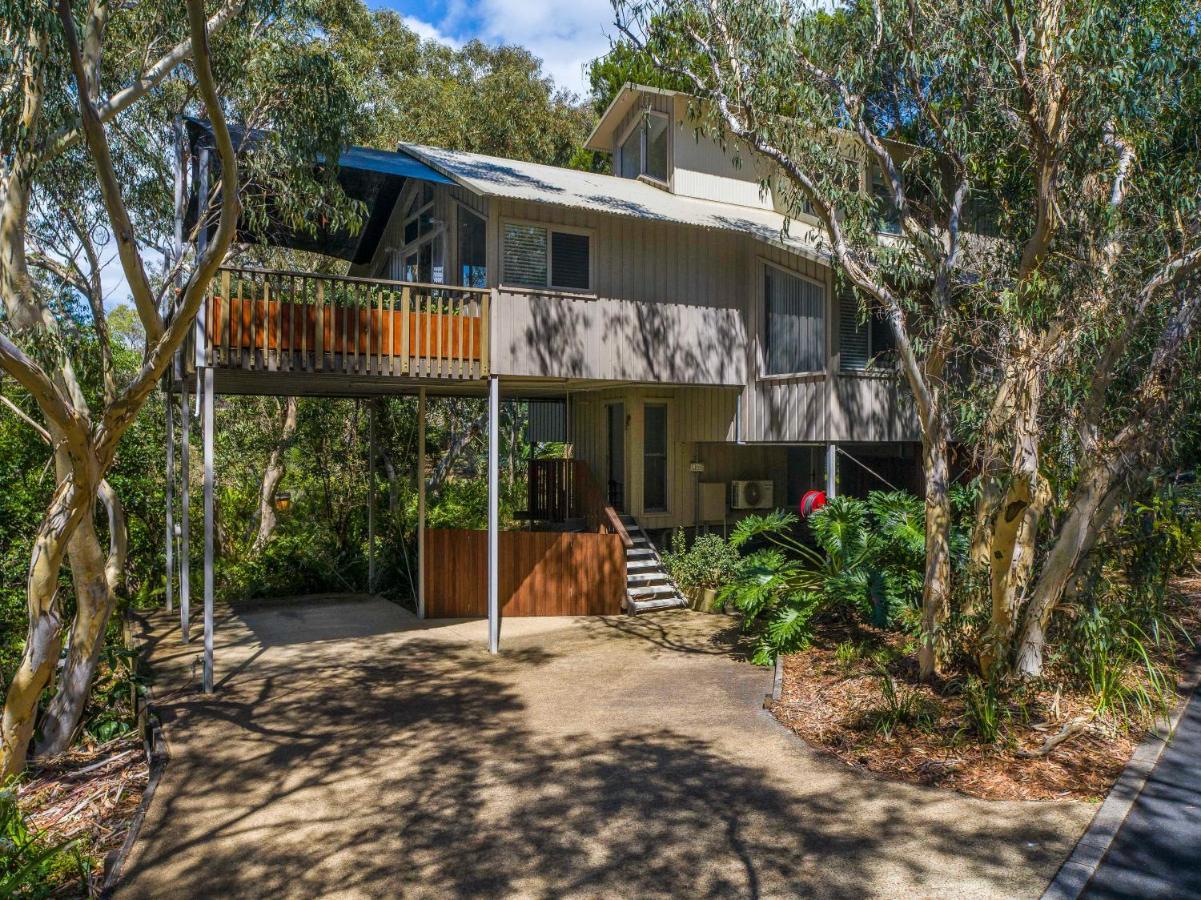 The Oasis Apartments And Treetop Houses Byron Bay Kültér fotó