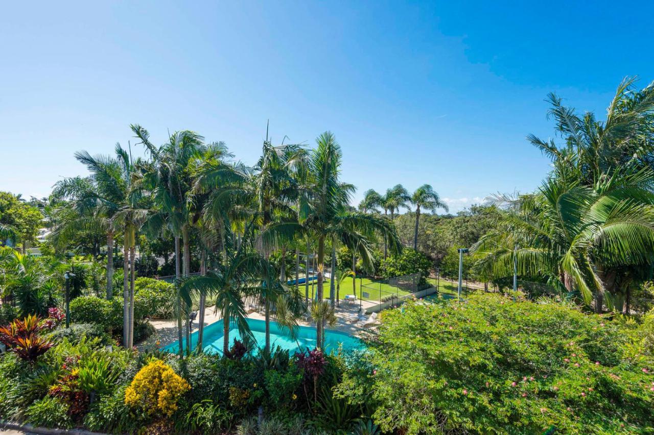 The Oasis Apartments And Treetop Houses Byron Bay Kültér fotó