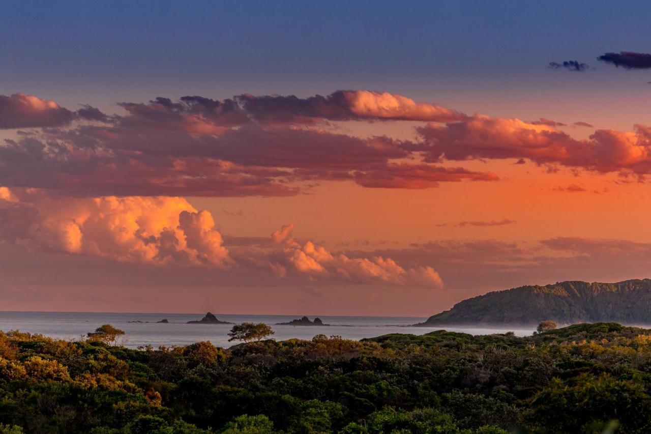The Oasis Apartments And Treetop Houses Byron Bay Kültér fotó
