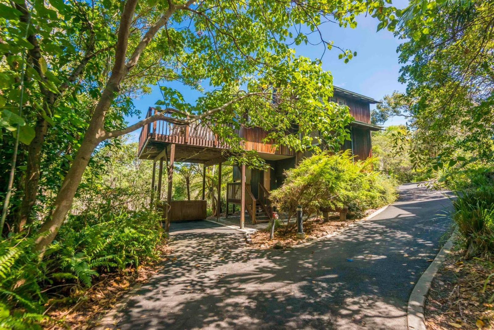 The Oasis Apartments And Treetop Houses Byron Bay Kültér fotó